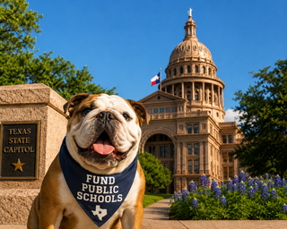 Special Advocacy Edition June 2026