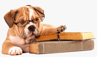 Bulldog Bark Edition 11: May 2026